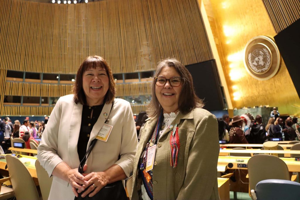 The United Nations Permanent Forum on Indigenous Issues 2024